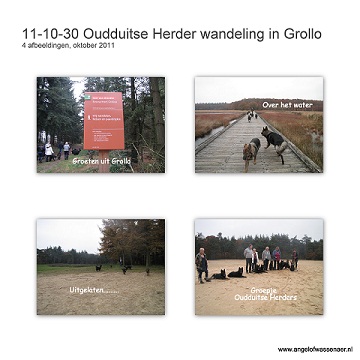Oudduitse Herder wandeling in Grollo